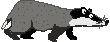 Jezevec pohyb