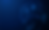 443-Dark-Blue1000H.png