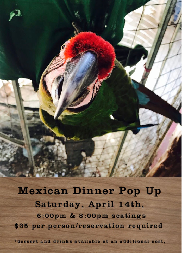 MEXICAN NIGHT POP UP