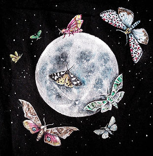 Noche con Luna estrella y mariposas nocturnas pintado a amano por Kuzen Saha para un encargo personalizado, especial bonito.