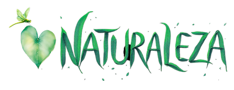 Logo Love naturaleza, diseño original de Kuzen Saha