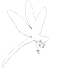 Libélula
