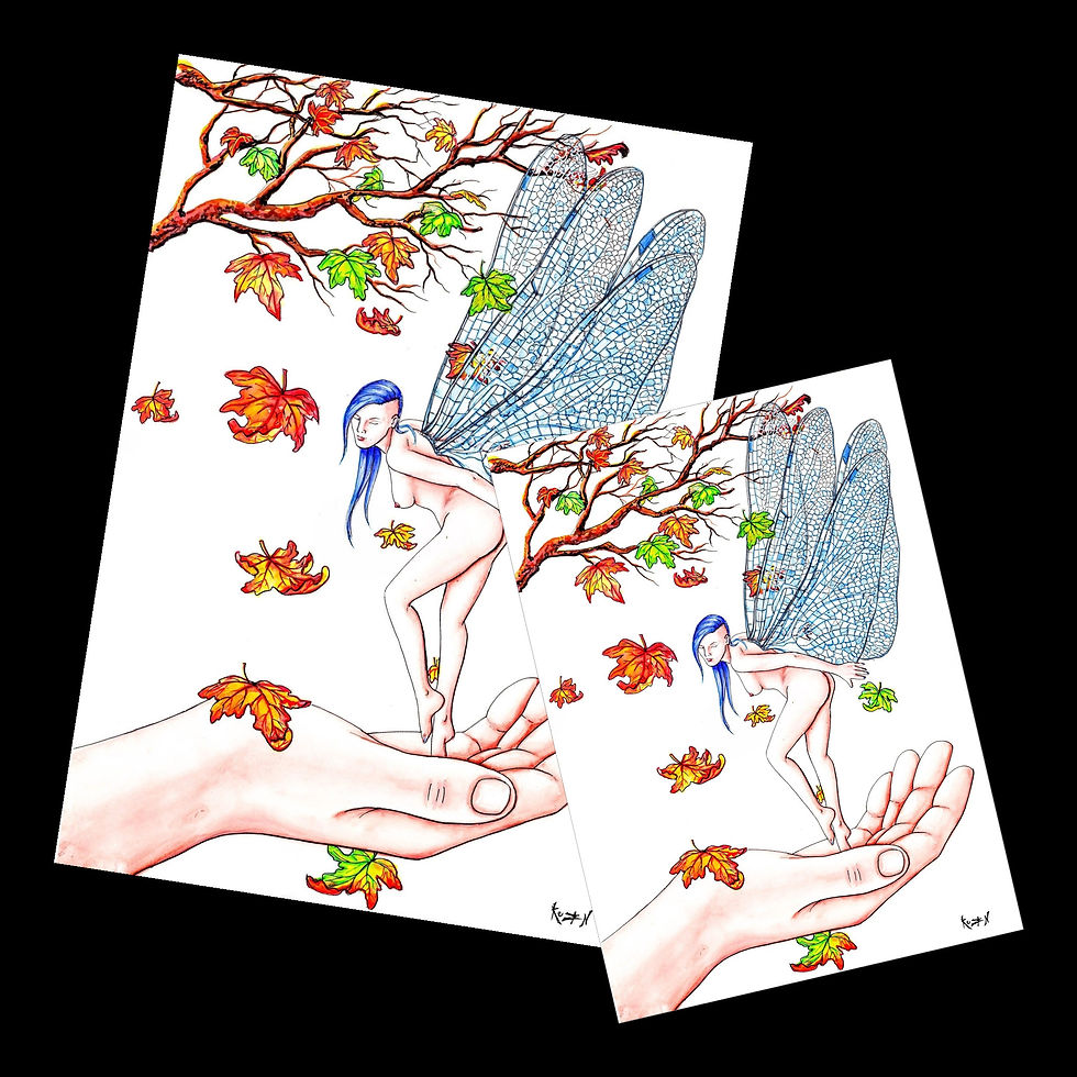 Dama Libélula— Edición limitada