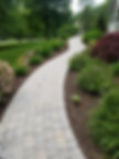 20170605_095806.jpg