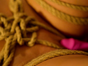 FRIES – BDSM Leitfaden