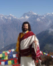 yogi.jpeg