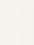 Website (1)