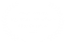 AWARD WINNER - Egyptian American Film Fe