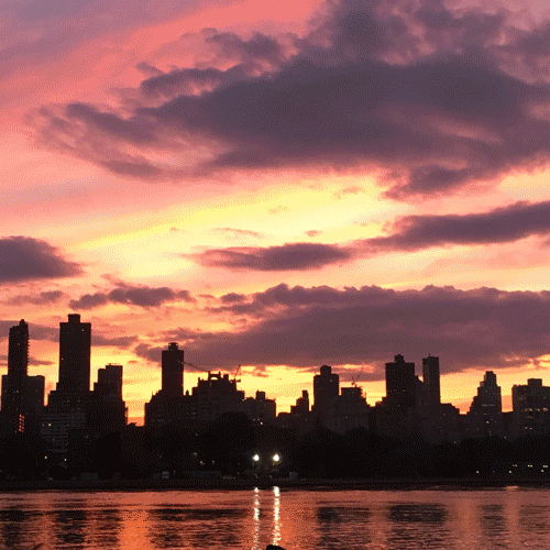 FLOWER_SUNSET.gif