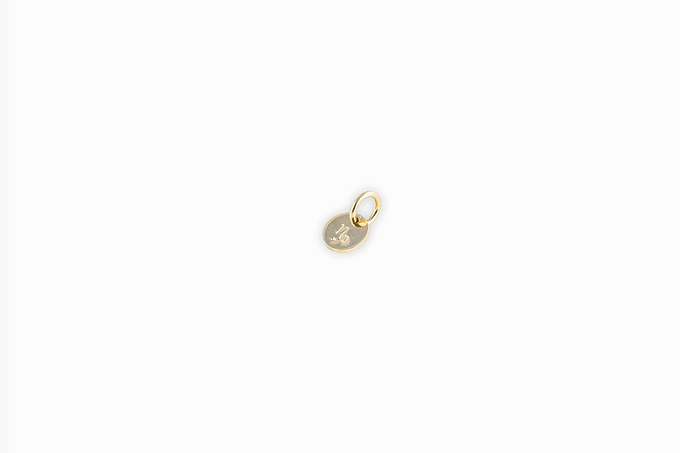 Thumbnail: Starsign Charm