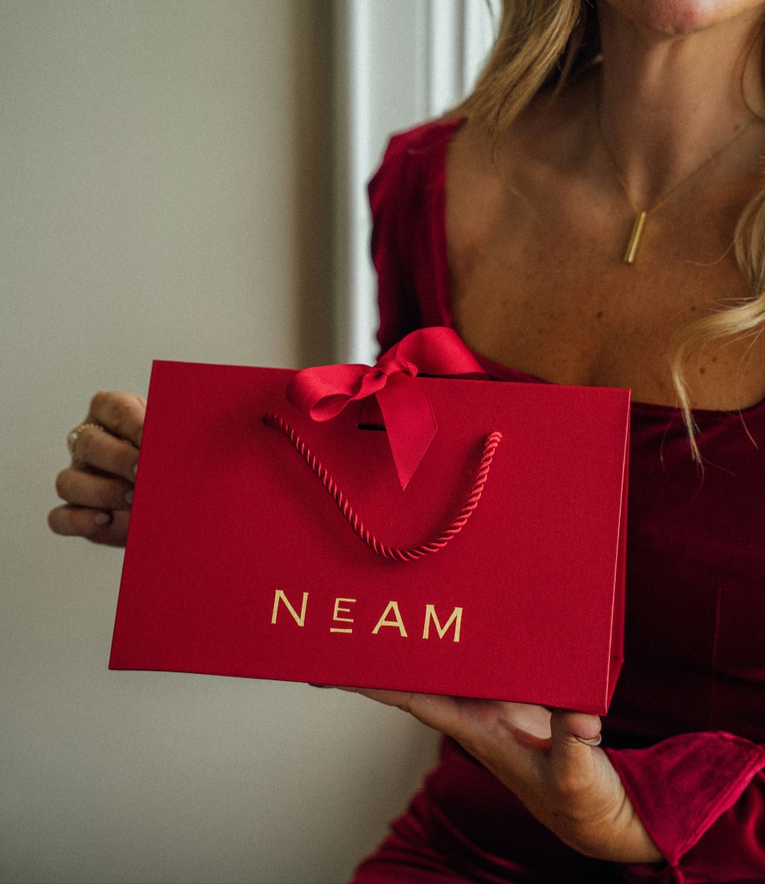 Premium Gift Bag