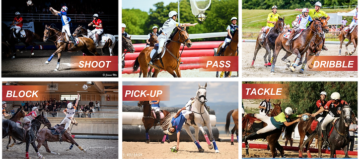 Horseball_actions_2(horizontal).png