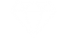 BRON_SHINE BRIGHT BANNER.png