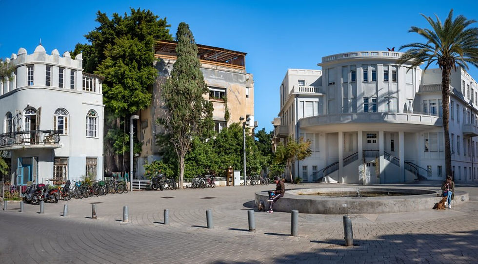 City square with fountain, buildings, and palm tree