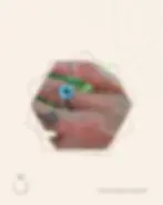 L'anello Louloudi indossato da Manuela, recuperato grazie a Operazione Rivoluzione