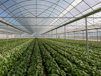 Op 8 september openen de MEI- en EG-subsidies voor de glastuinbouw. Wil je investeren in een warmtepomp of je energiesysteem verduurzamen? Dan is dit het moment om je project technisch klaar te maken.
