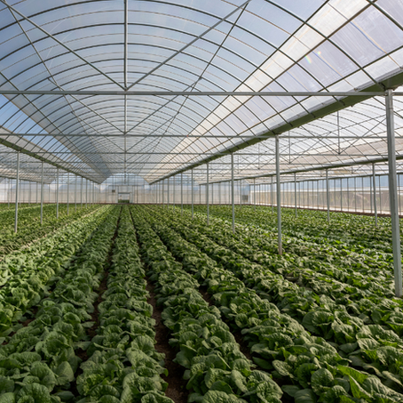 Op 8 september openen de MEI- en EG-subsidies voor de glastuinbouw. Wil je investeren in een warmtepomp of je energiesysteem verduurzamen? Dan is dit het moment om je project technisch klaar te maken.