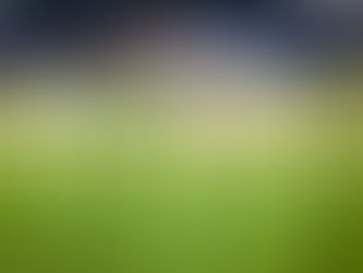 Warum wir Fußball lieben (und manchmal hassen)