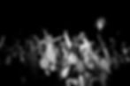 wedding party photographer .jpg