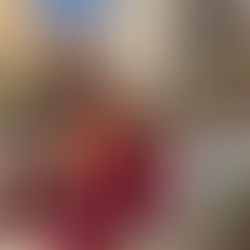 Un beau dimanche des Rameaux à Saint Louis