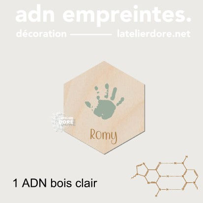 Miniature : Adn à empreintes
