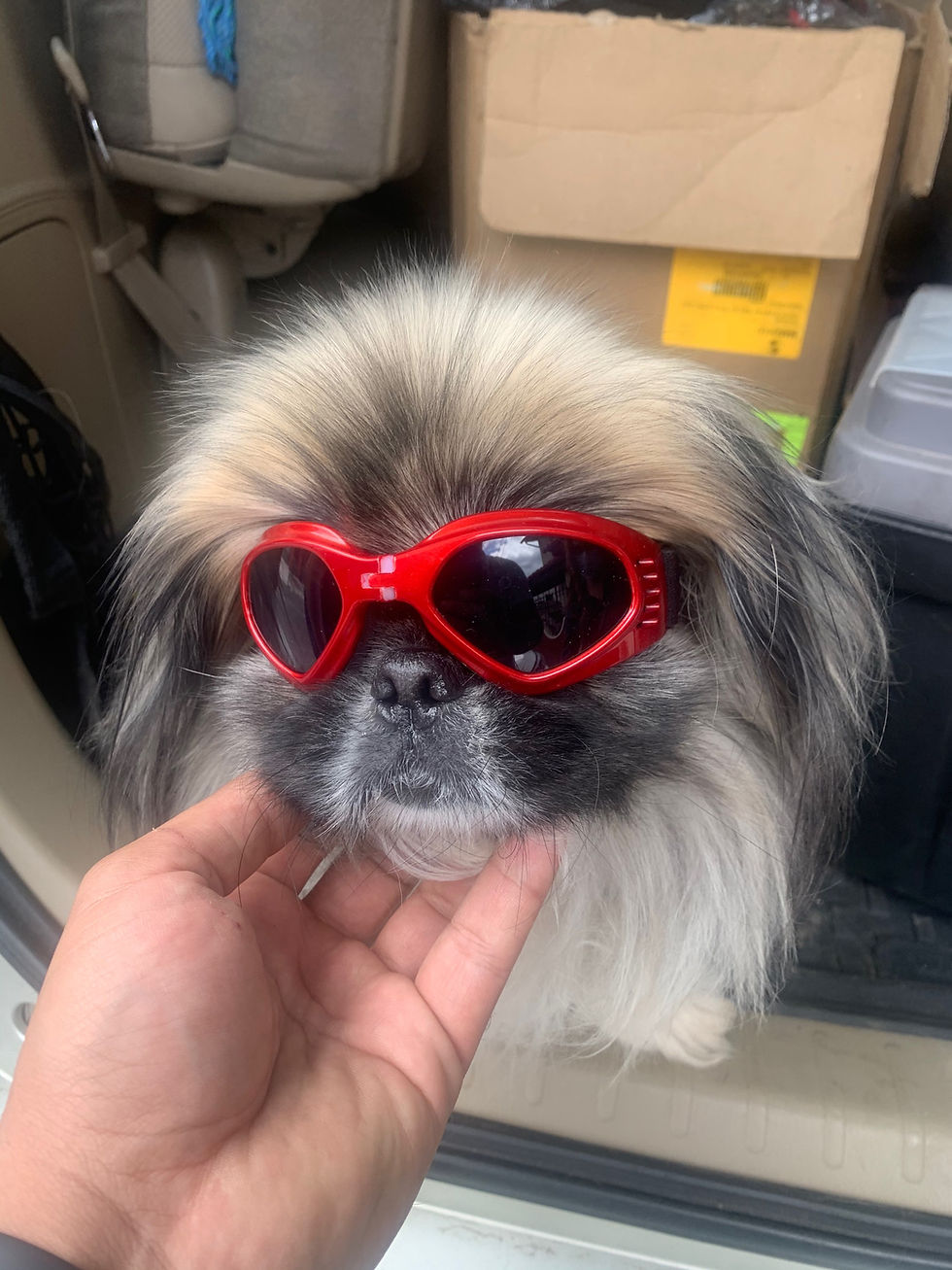 Miniatura: gafas
