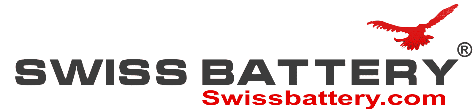 Swissbattery - Energie-Forschungs für recyclierbare und grüne Battieren
