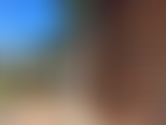 Wood Home Refinishing Services in WI