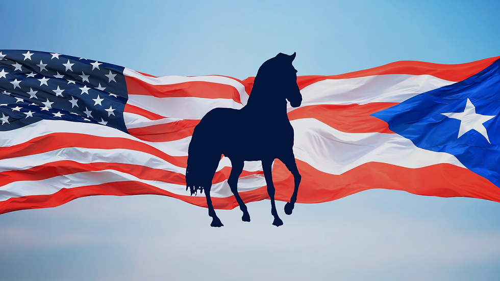 PR&USflag.png