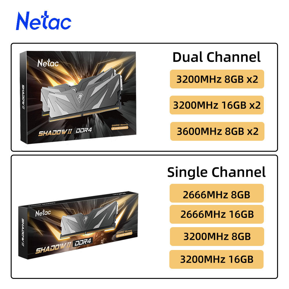 Netac DDR4 8GB 16GB Memoria Ram DDR4 2666 3200 3600 Memory Desktop Dimm with Hea