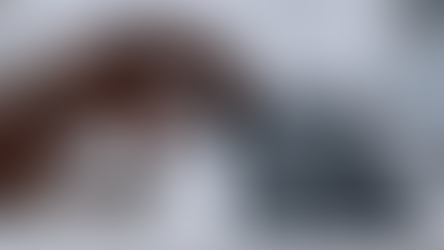 Writing A Brand Blog