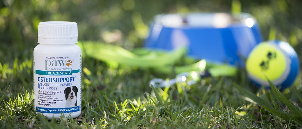 PAW Osteosupport® Joint Care Powder For Dogs