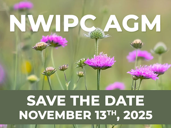 NWIPC 2025 AGM.jpg