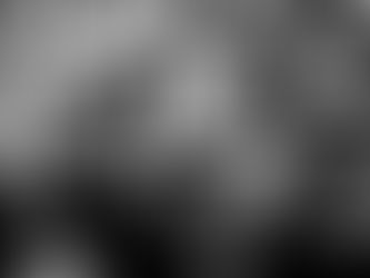 Brand New Project Announced by HipHop Collective Lower Life Forms, & Video/Single "Circling The Drain"