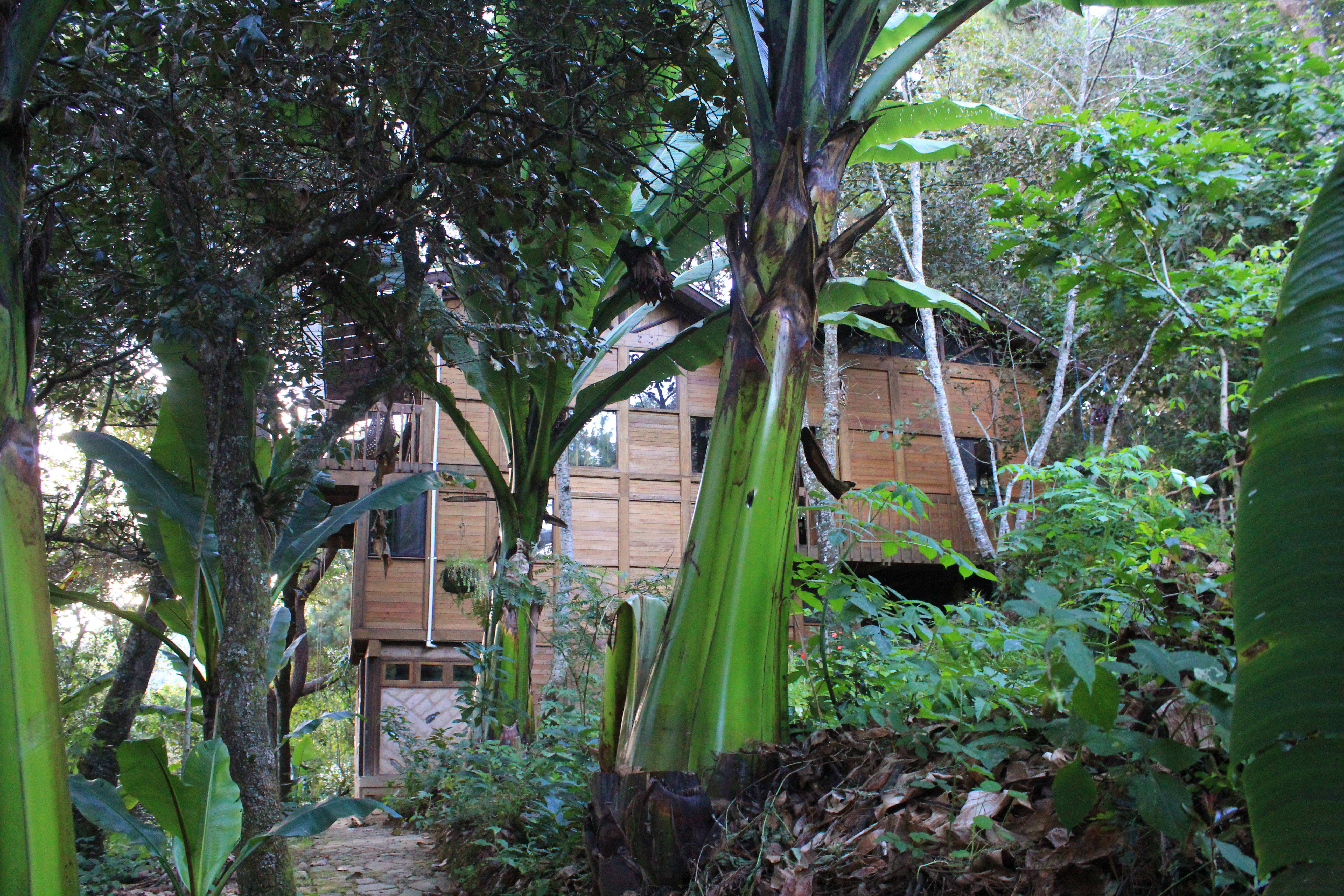 Sanatorio Natural Chisäq Cerro Alux
