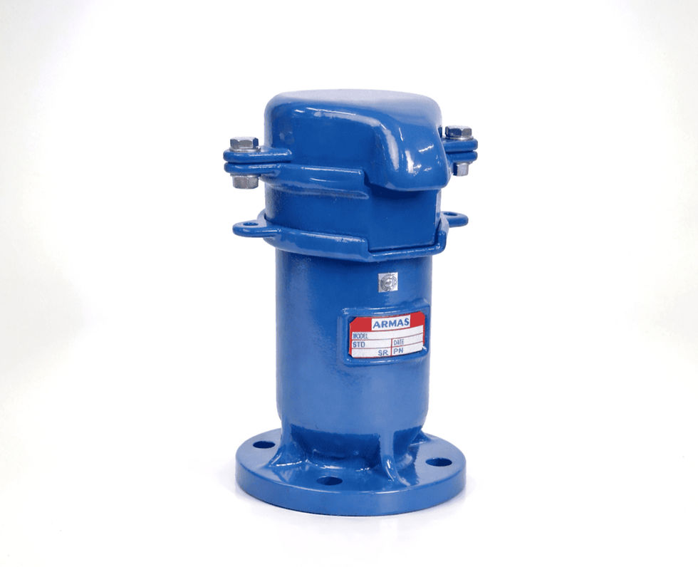 Kombine Vantuz - AAV4 PN16 / PN25