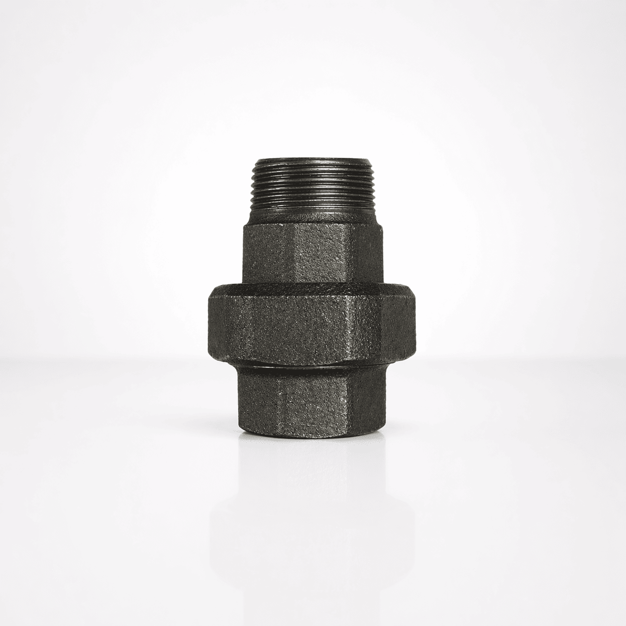 Siyah Kuyruklu Konik Rakor