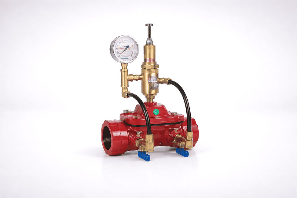 Hidrolik Kontrol Vanaları - AX-T Pik Döküm GG25 Dişli 230 PSI