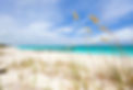 AdobeStock_45040350.jpeg