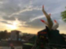 IMG_7313.jpeg