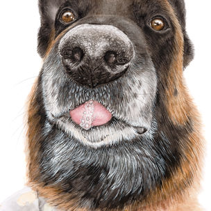 PW 28220-29-2-Edit.jpg