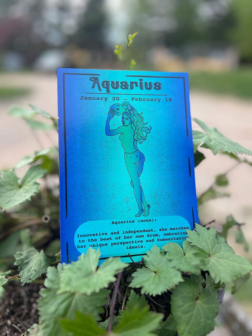 Blue card with aquarius information