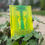Miniatura: Green Gemini