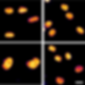 Screen Shot 2023-02-11 at 3.31.19 PM.png