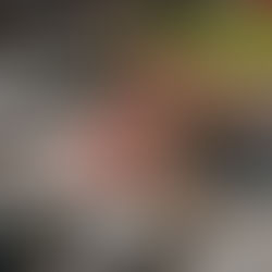 Building Strong Foundations at Plympton International