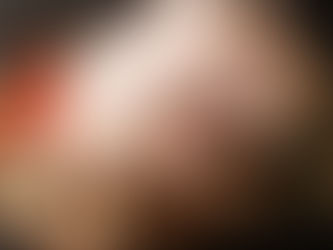 97 Recipies and Everything you need to know about Turkey for this Thanksgiving