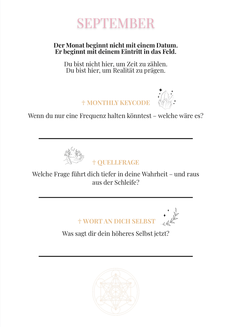 Miniaturbild: The 369 Master Bundle – Wissen & Umsetzung