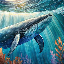 17.02: World Whale Day auf Maui