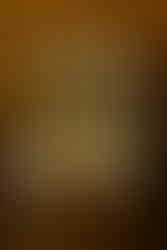 A Wedding at The Old Wheat Barn