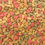 Thumbnail: Intune Parrot & Large Bird, 3 lb, Higgins